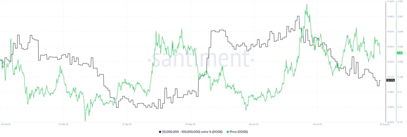 Whales holding between 10 million and 100 million DOGE coins