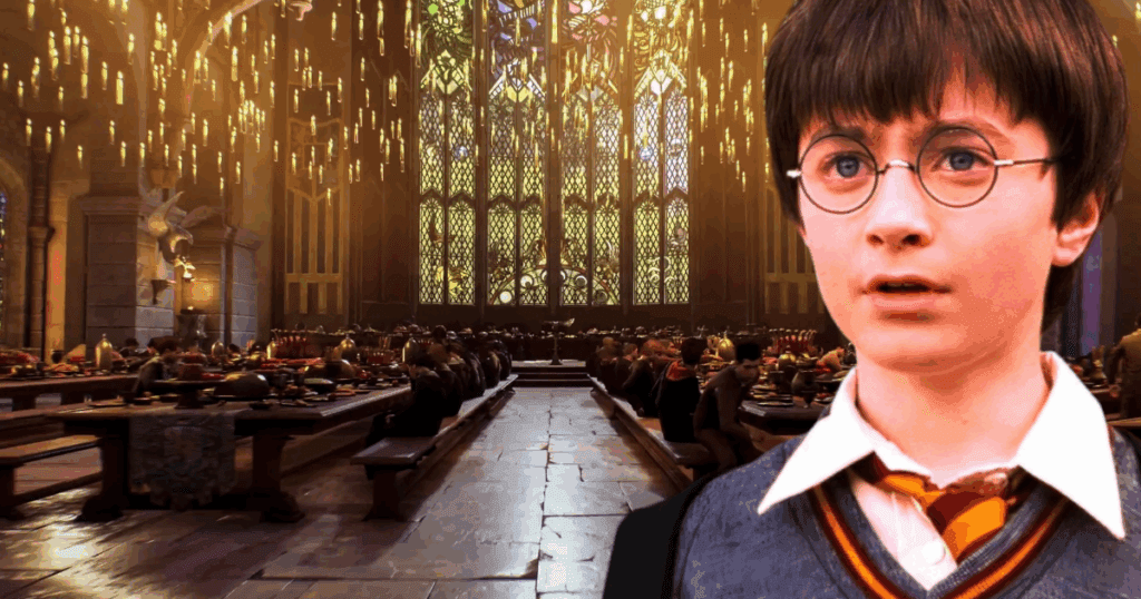 Harry Potter: the major oversight in the films may finally be addressed in the upcoming series.