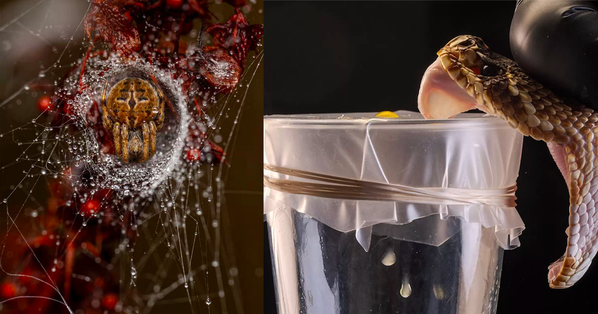 Website currently undergoing maintenance: please check back soon.