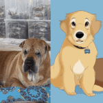 Website undergoing essential maintenance for improvements