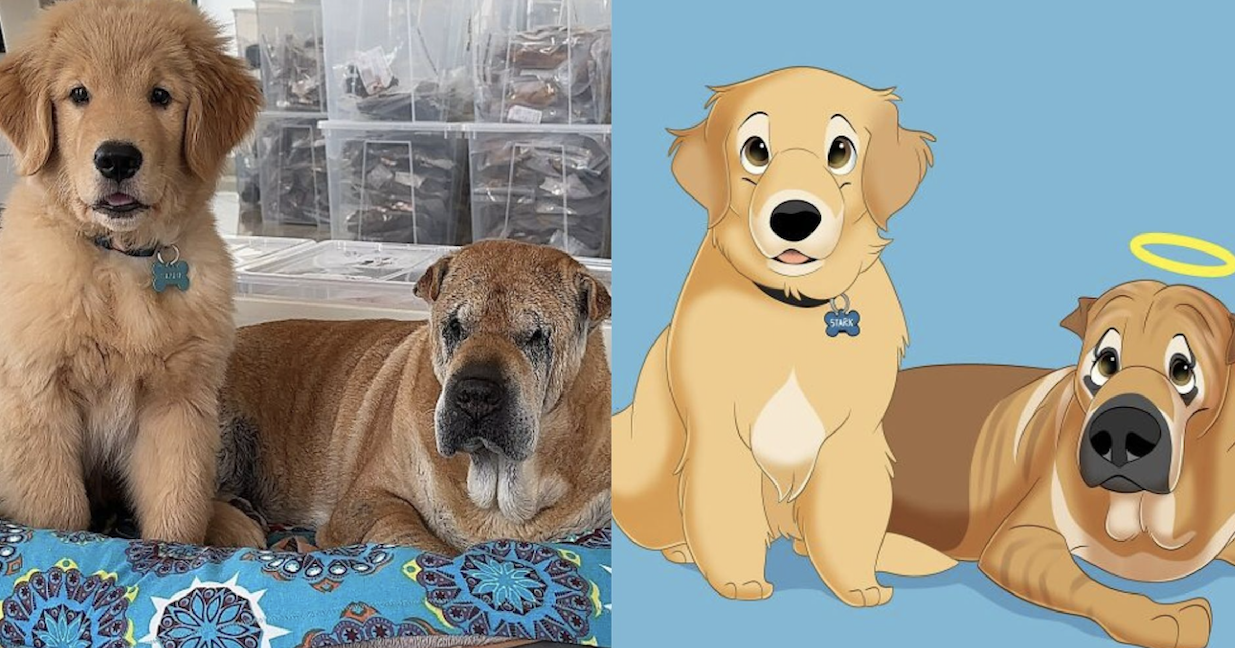 Website undergoing essential maintenance for improvements