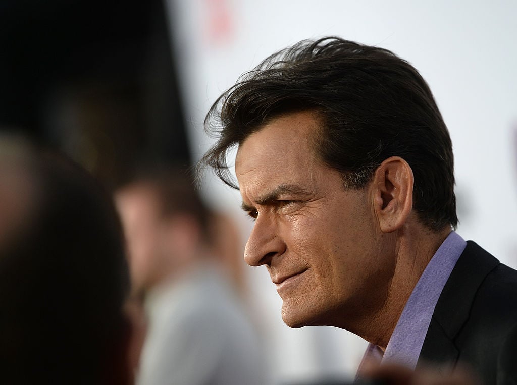 Charlie Sheen allegedly owes over $15 million in child support to ex-wife Brooke Mueller, with payments delinquent for more than a decade, court documents reveal.