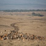 The colossal landowners shaping America's vast landscapes: meet the top 20.