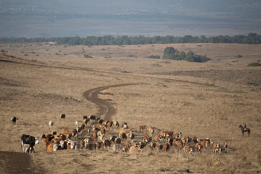 The colossal landowners shaping America's vast landscapes: meet the top 20.
